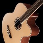 Harley Benton CLB-10SCE NS