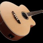 Harley Benton CLB-10SCE NS